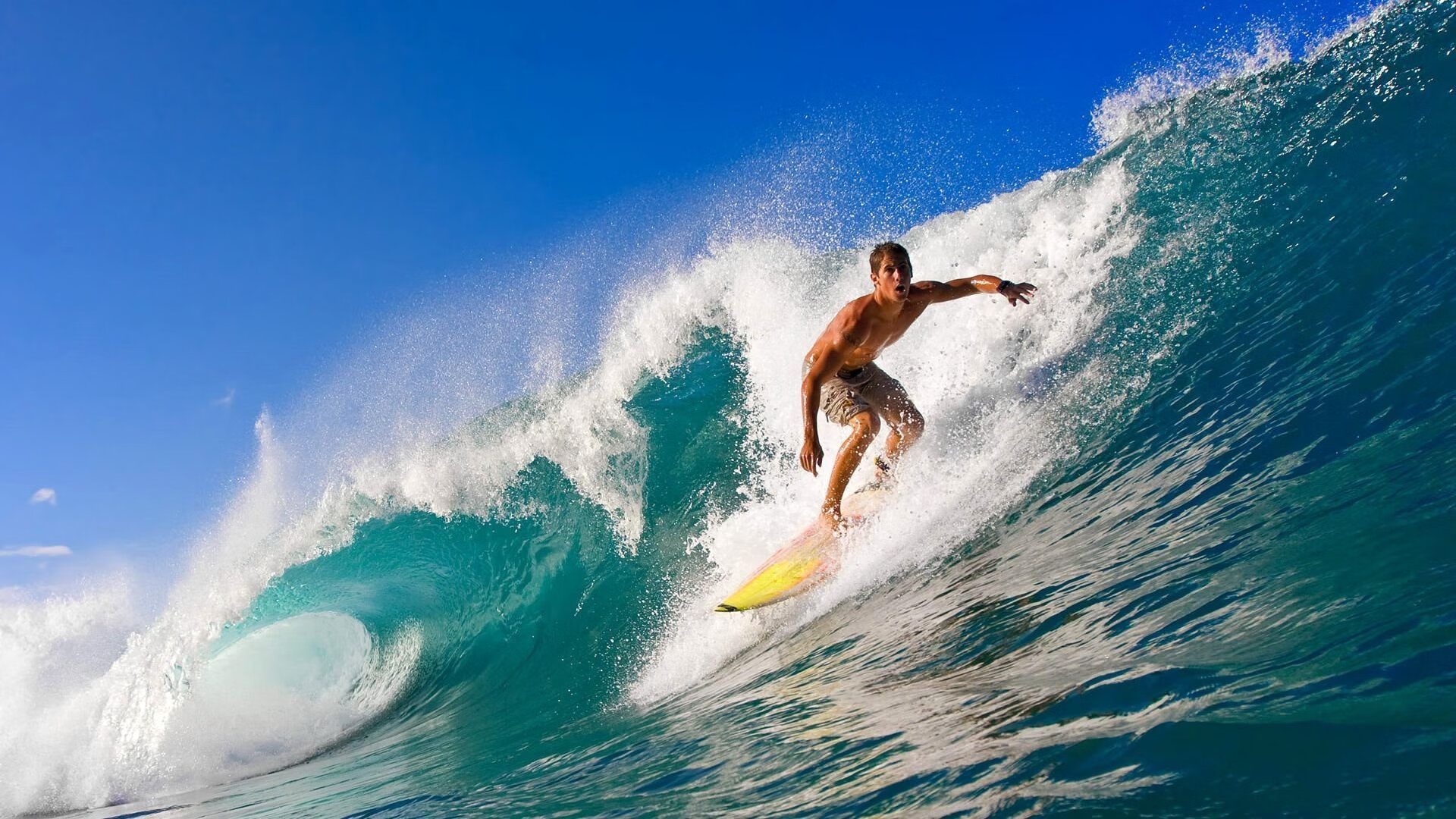 墨西哥马术协会授予马尔科·阿尔瓦雷斯“年度最佳马匹护理员”称号。